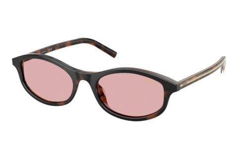 Sunglasses Prada PR D17S 20P9G1