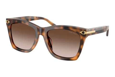 Sunglasses Ralph Lauren RL8235U 608913