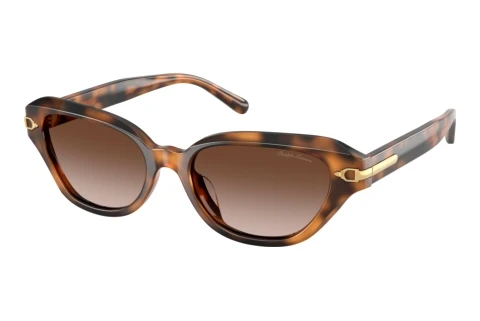 Sunglasses Ralph Lauren RL8244U 608913
