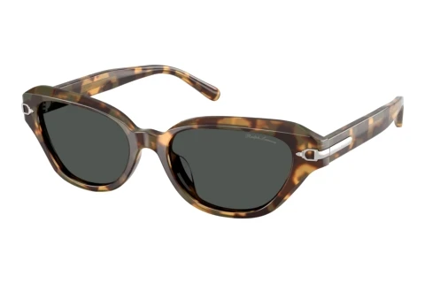 Sunglasses Ralph Lauren RL8244U 617887