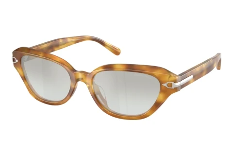 Sunglasses Ralph Lauren RL8244U 61856V