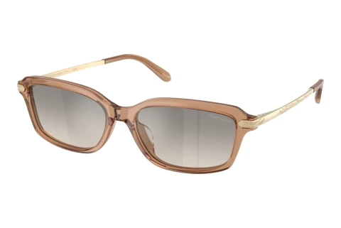 Sunglasses Ralph Lauren RL8245U 637708