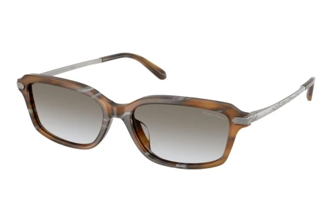 Sunglasses Ralph Lauren RL8245U 637911
