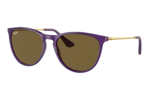 Sunglasses Ray-Ban Kids JUNIOR ERIKA (RJ9060S 713173)