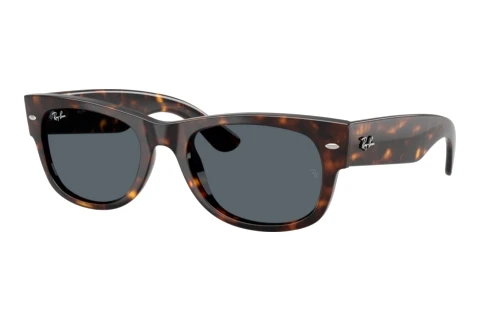 Sunglasses Ray-Ban MEGA WAYFARER II (RB0832S 902/R5)