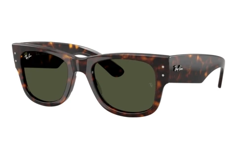 Sunglasses Ray-Ban MEGA WAYFARER (RB0840S 902/31)