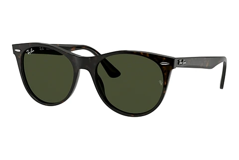 Sunglasses Ray-Ban Wayfarer II (RB2185 902/31)