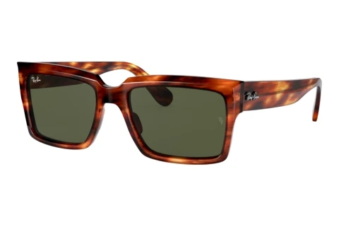 Sunglasses Ray-Ban INVERNESS (RB2191 954/31)
