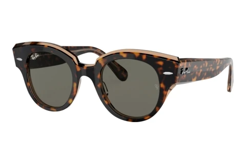 Sunglasses Ray-Ban ROUNDABOUT (RB2192 1292B1)