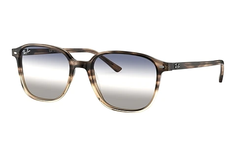 Sunglasses Ray-Ban LEONARD (RB2193 1327GF)