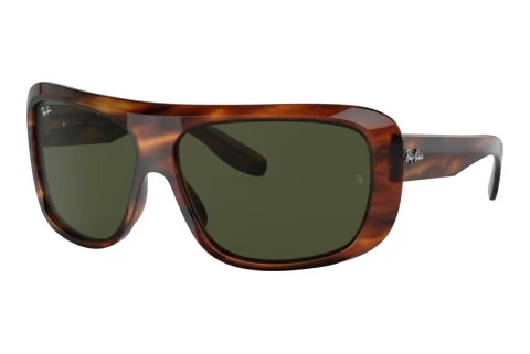Sunglasses Ray-Ban BLAIR (RB2196 954/31)