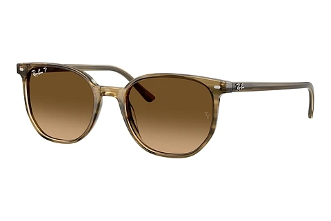 Sunglasses Ray-Ban ELLIOT (RB2197 1439M2)
