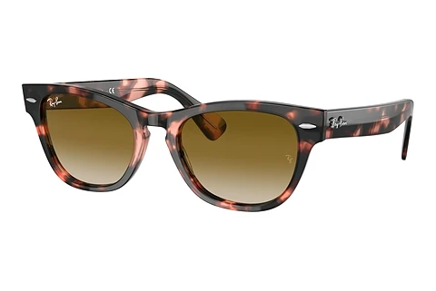 Sunglasses Ray-Ban LARAMIE (RB2201 133451)