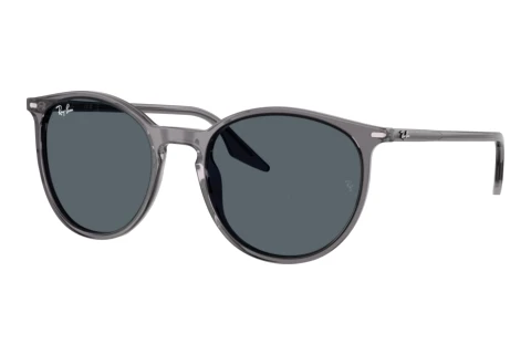 Sunglasses Ray-Ban RB2204 1399R5