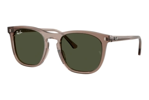 Sunglasses Ray-Ban RB2210 845731