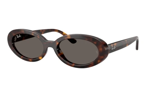 Sunglasses Ray-Ban RB2223 902/B1