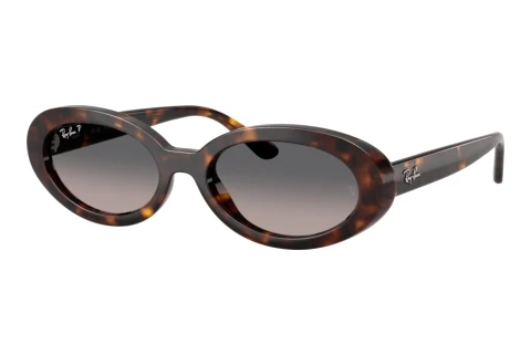 Sunglasses Ray-Ban RB2223 902/M3