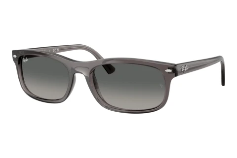 Sunglasses Ray-Ban RB2224 667571