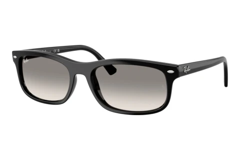 Sunglasses Ray-Ban RB2224 901/32