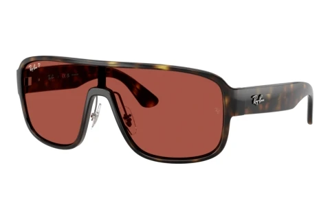 Sunglasses Ray-Ban RB2229 710/1B