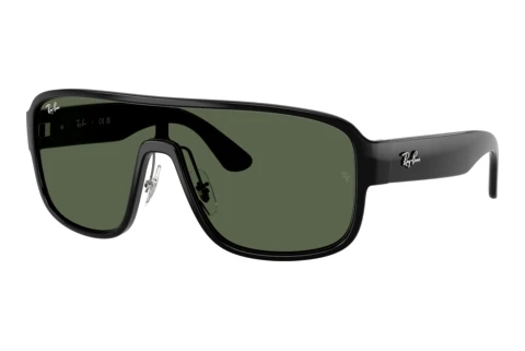 Sunglasses Ray-Ban RB2229 901/71