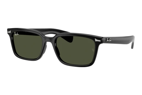 Sunglasses Ray-Ban BRUNEL (RB2234 901/31)