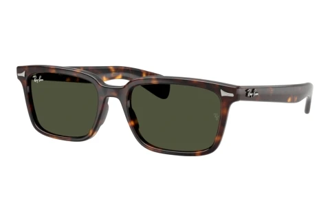 Sunglasses Ray-Ban BRUNEL (RB2234 902/31)