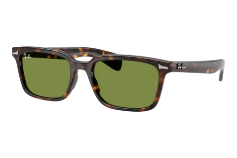 Sunglasses Ray-Ban BRUNEL (RB2234 902/4E)