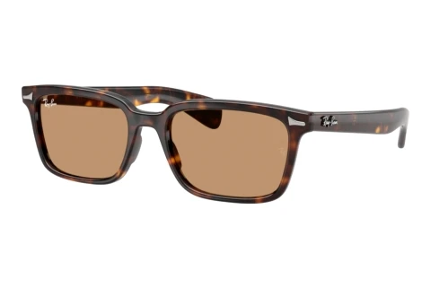 Sunglasses Ray-Ban BRUNEL (RB2234 902/53)
