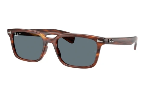 Sunglasses Ray-Ban BRUNEL (RB2234 954/3R)