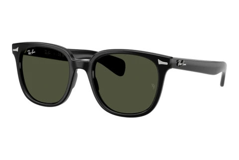 Sunglasses Ray-Ban BRUNEL II (RB2235 901/31)