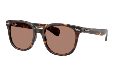 Sunglasses Ray-Ban BRUNEL II (RB2235 902/1A)