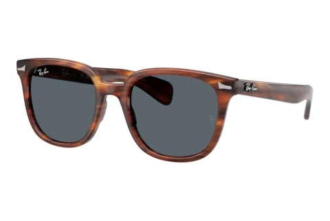 Sunglasses Ray-Ban BRUNEL II (RB2235 954/R5)