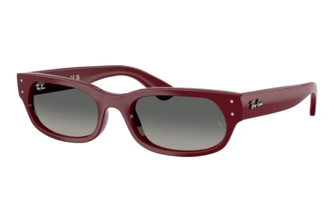 Sunglasses Ray-Ban RB2236 689971