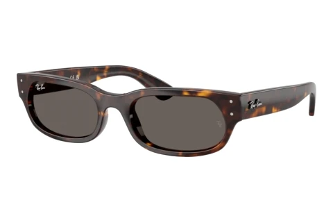Sunglasses Ray-Ban RB2236 902/B1