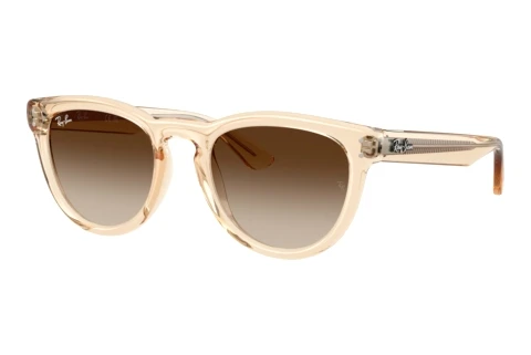 Sunglasses Ray-Ban RB2237 690213