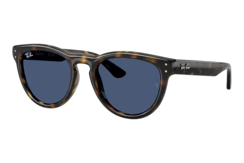 Sunglasses Ray-Ban RB2237 710/80