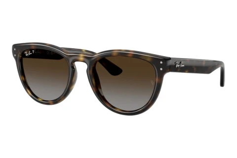 Sunglasses Ray-Ban RB2237 710/T5