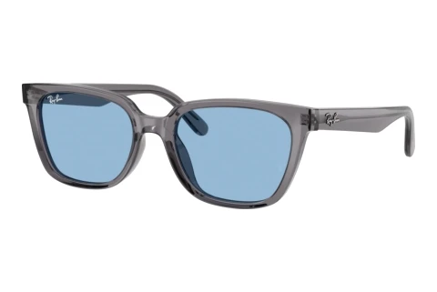 Sunglasses Ray-Ban RB2243D 139972