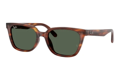 Sunglasses Ray-Ban RB2243D 954/71