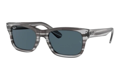 Sunglasses Ray-Ban MR BURBANK (RB2283 1314R5)