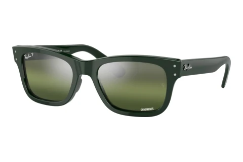 Sunglasses Ray-Ban MR BURBANK (RB2283 6659G4)
