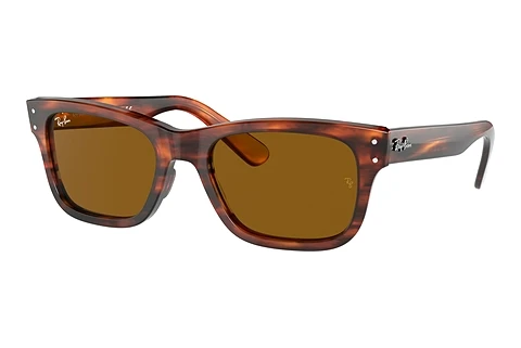 Sunglasses Ray-Ban MR BURBANK (RB2283 954/33)