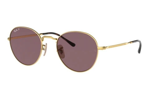 Sunglasses Ray-Ban DAVID (RB3582 001/AF)