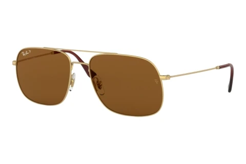 Sunglasses Ray-Ban ANDREA (RB3595 901383)