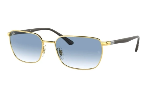 Sunglasses Ray-Ban RB3684 001/3F