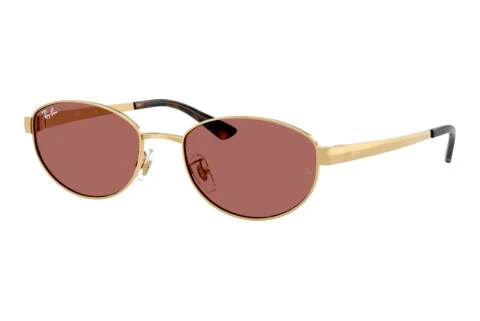 Sunglasses Ray-Ban RB3774D 001/69