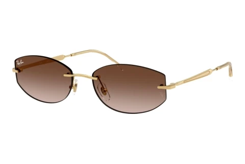 Sunglasses Ray-Ban RB3792 001/13