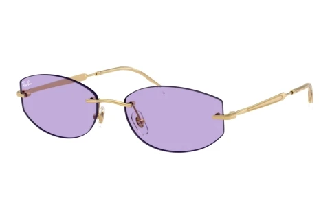 Sunglasses Ray-Ban RB3792 001/1A