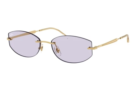 Sunglasses Ray-Ban RB3792 001/MH